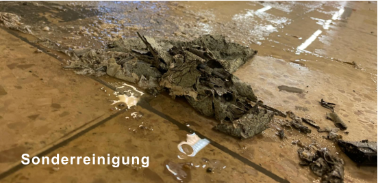 Sonderreinigung