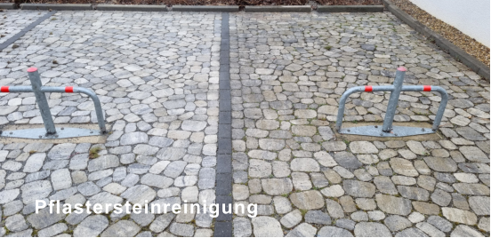 Pflastersteinreinigung